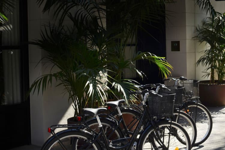 Bicycles at entrance